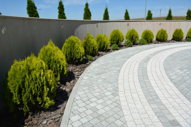 Best Driveway Paving Contractor  in St Helena, CA